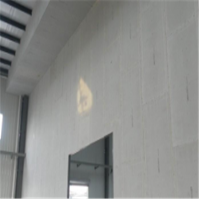 洛宁宁波ALC板|EPS加气板隔墙与混凝土整浇联接的实验研讨